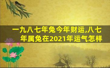一九八七年兔今年财运,八七年属兔在2021年运气怎样