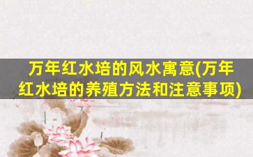 万年红水培的风水寓意(万年红水培的养殖方法和注意事项)