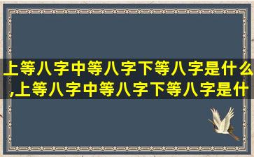 上等八字中等八字下等八字是什么,上等八字中等八字下等八字是什么生肖