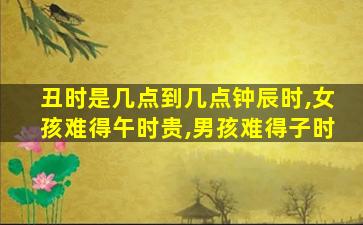 丑时是几点到几点钟辰时,女孩难得午时贵,男孩难得子时