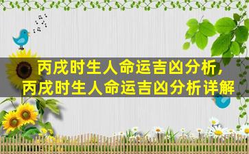 丙戌时生人命运吉凶分析,丙戌时生人命运吉凶分析详解