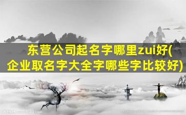 东营公司起名字哪里zui
好(企业取名字大全字哪些字比较好)