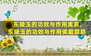 东陵玉的功效与作用寓意,东陵玉的功效与作用佩戴禁忌