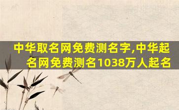 中华取名网免费测名字,中华起名网免费测名1038万人起名