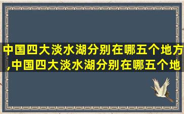 中国四大淡水湖分别在哪五个地方,中国四大淡水湖分别在哪五个地方啊