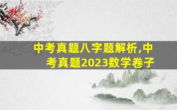 中考真题八字题解析,中考真题2023数学卷子