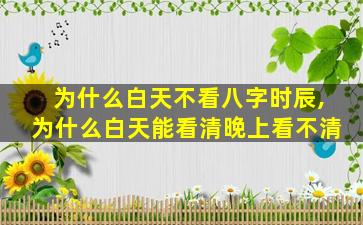 为什么白天不看八字时辰,为什么白天能看清晚上看不清