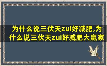 为什么说三伏天zui
好减肥,为什么说三伏天zui
好减肥大赢家