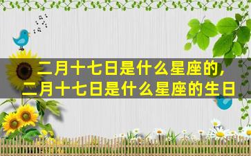 二月十七日是什么星座的,二月十七日是什么星座的生日