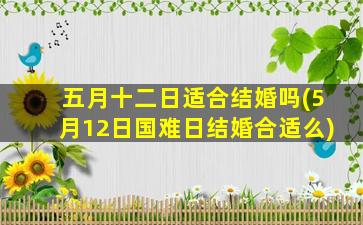 五月十二日适合结婚吗(5月12日国难日结婚合适么)