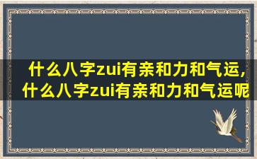 什么八字zui
有亲和力和气运,什么八字zui
有亲和力和气运呢