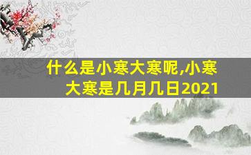 什么是小寒大寒呢,小寒大寒是几月几日2021