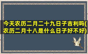 今天农历二月二十九日子吉利吗(农历二月十八是什么日子好不好)