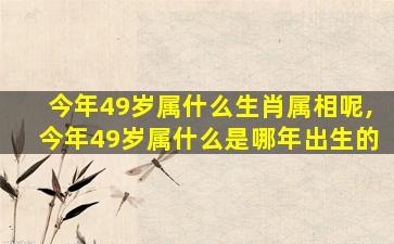 今年49岁属什么生肖属相呢,今年49岁属什么是哪年出生的