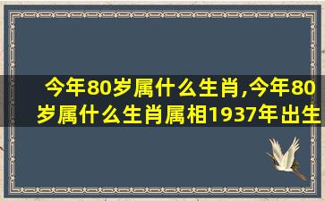 今年80岁属什么生肖,今年80岁属什么生肖属相1937年出生的属于什么生肖