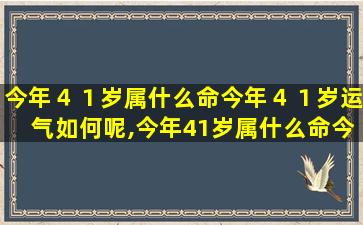 今年４１岁属什么命今年４１岁运气如何呢,今年41岁属什么命今年41岁运气如何呢