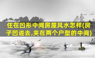 住在凹形中间房屋风水怎样(房子凹进去,夹在两个户型的中间)