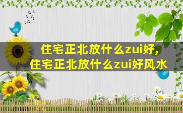 住宅正北放什么zui
好,住宅正北放什么zui
好风水