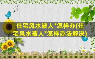 住宅风水被人*
怎样办(住宅风水被人*
怎样办法解决)