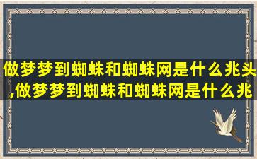 做梦梦到蜘蛛和蜘蛛网是什么兆头,做梦梦到蜘蛛和蜘蛛网是什么兆头呀