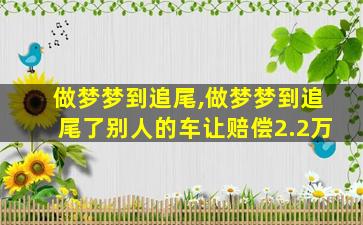 做梦梦到追尾,做梦梦到追尾了别人的车让赔偿2.2万