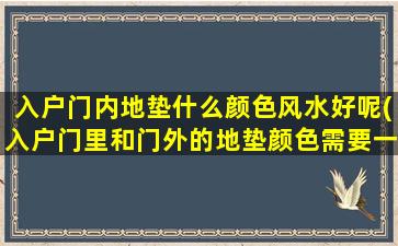 入户门内地垫什么颜色风水好呢(入户门里和门外的地垫颜色需要一样吗)