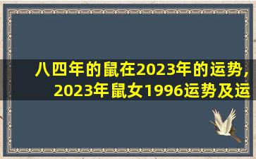 八四年的鼠在2023年的运势,2023年鼠女1996运势及运程