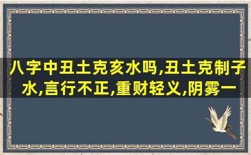 八字中丑土克亥水吗,丑土克制子水,言行不正,重财轻义,阴雾一生