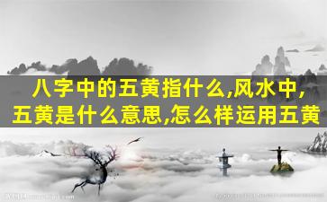 八字中的五黄指什么,风水中,五黄是什么意思,怎么样运用五黄