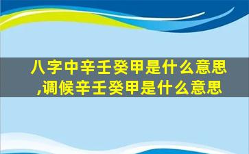 八字中辛壬癸甲是什么意思,调候辛壬癸甲是什么意思