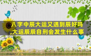 八字中辰大运又遇到辰好吗,大运辰辰自刑会发生什么事