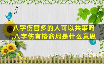 八字伤官多的人可以共事吗,八字伤官格命局是什么意思