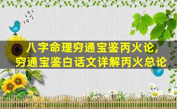 八字命理穷通宝鉴丙火论,穷通宝鉴白话文详解丙火总论