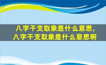 八字干支取象是什么意思,八字干支取象是什么意思啊