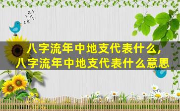 八字流年中地支代表什么,八字流年中地支代表什么意思