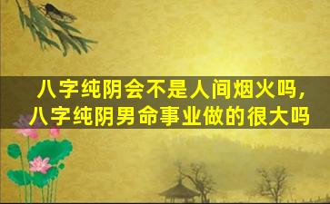 八字纯阴会不是人间烟火吗,八字纯阴男命事业做的很大吗