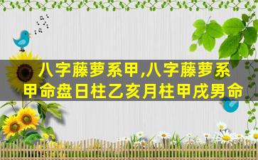 八字藤萝系甲,八字藤萝系甲命盘日柱乙亥月柱甲戌男命