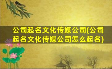 公司起名文化传媒公司(公司起名文化传媒公司怎么起名)