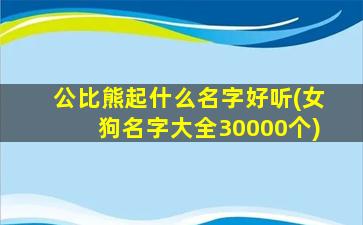 公比熊起什么名字好听(女狗名字大全30000个)