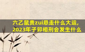 六乙鼠贵zui
忌走什么大运,2023年子卯相刑会发生什么