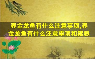 养金龙鱼有什么注意事项,养金龙鱼有什么注意事项和禁忌