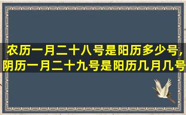 农历一月二十八号是阳历多少号,阴历一月二十九号是阳历几月几号