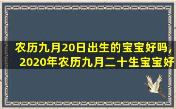 农历九月20日出生的宝宝好吗,2020年农历九月二十生宝宝好吗