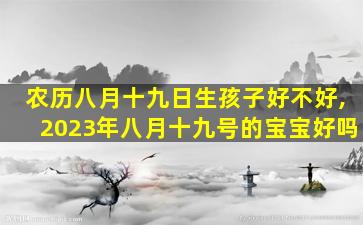 农历八月十九日生孩子好不好,2023年八月十九号的宝宝好吗