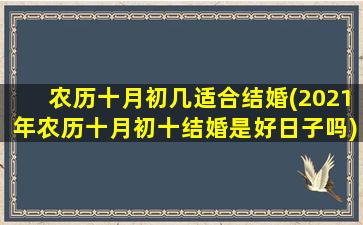 农历十月初几适合结婚(2021年农历十月初十结婚是好日子吗)