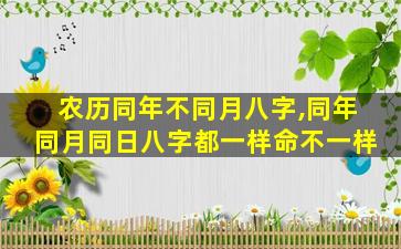 农历同年不同月八字,同年同月同日八字都一样命不一样