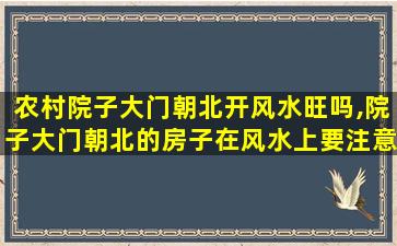 农村院子大门朝北开风水旺吗,院子大门朝北的房子在风水上要注意什么