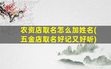 农资店取名怎么加姓名(五金店取名好记又好听)