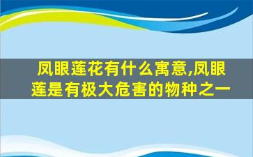 凤眼莲花有什么寓意,凤眼莲是有极大危害的物种之一