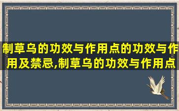 制草乌的功效与作用点的功效与作用及禁忌,制草乌的功效与作用点的功效与作用及禁忌是什么